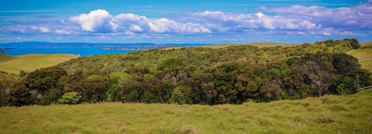MOTUTAPU RESTORATION TRUST