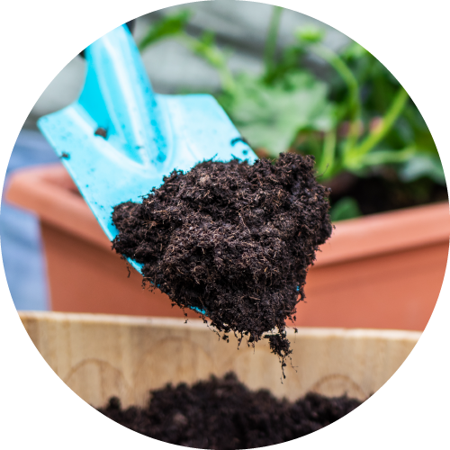 Organic Compost