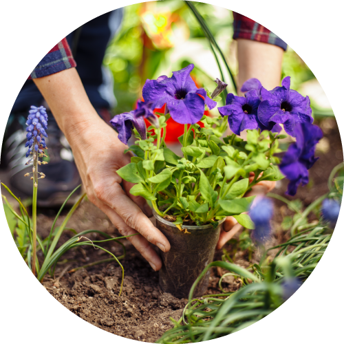 More Than Garden Mix
